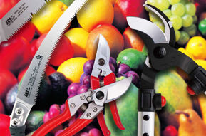 Image de la catégorie Outils manuels de travail