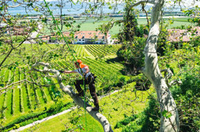 Image de la catégorie Escalade arboricole et EPI