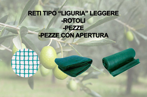 Image de la catégorie Rete Liguria Leggera