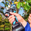 Forbice Elettrica STARK XM Campagnola - per viticoltura, frutticoltura e olivicoltura