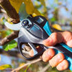 Forbice Elettrica STARK XL Campagnola - per agrumeti, oliveti e piante ornamentali