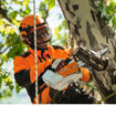 Motosega MSA 161 T Stihl -in funzione