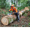 Casco DYNAMIC Light Stihl - visiera e protezioni auricolari