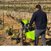 Motocoltivatore G85 Grillo - versatile e robusto