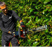 Tosasiepe a batteria DHC 2800 R - al lavoro
