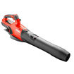 Soffiatore a batteria DPB 2500 Echo