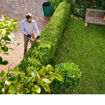 Tosasiepi HSA 40 Stihl - al lavoro