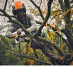 Potatore GTA 40 Stihl al lavoro in treeclimbing