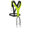 Pettorale TreeRex Bungee Chest Edelrid