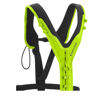 Pettorale TreeRex Bungee Chest - frontale