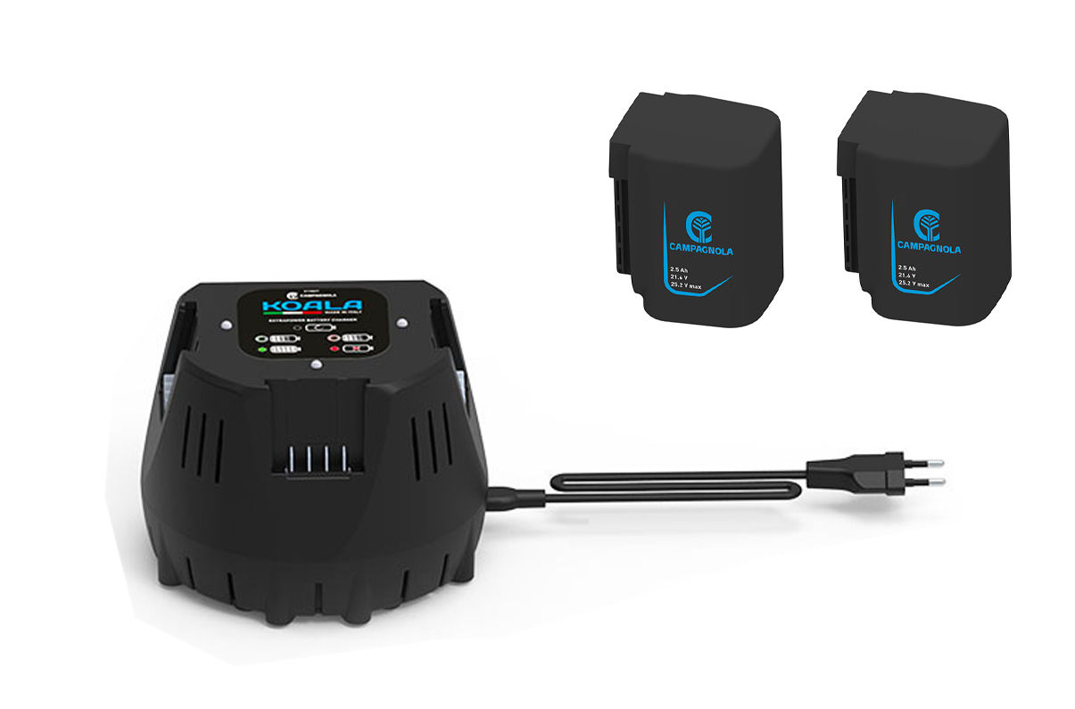 Immagine per la categoria Batterie e Caricatori