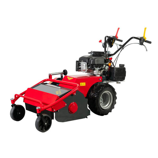 Trinciasarmenti TR 600 Meccanica Benassi