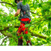 Pantaloni antitaglio elasticizzati per arboricoltura Arbortec