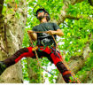 Pantaloni arboricoltura elasticizzati Freestyle Arbortec