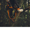 2 in 1 AP Strop Adapter in treeclimbing