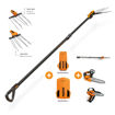 Abbacchiatore Power 48 T220/300 + Potatore Pellenc