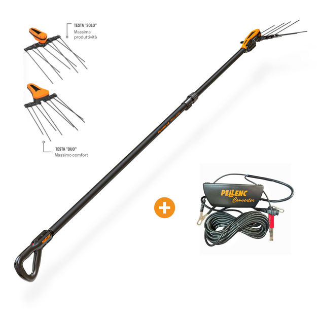 Abbacchiatore Power 48 T220/300 con Convertitore 12/44 V Pellenc