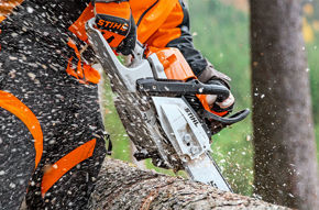 Image de la catégorie Promo Stihl Automne 2025