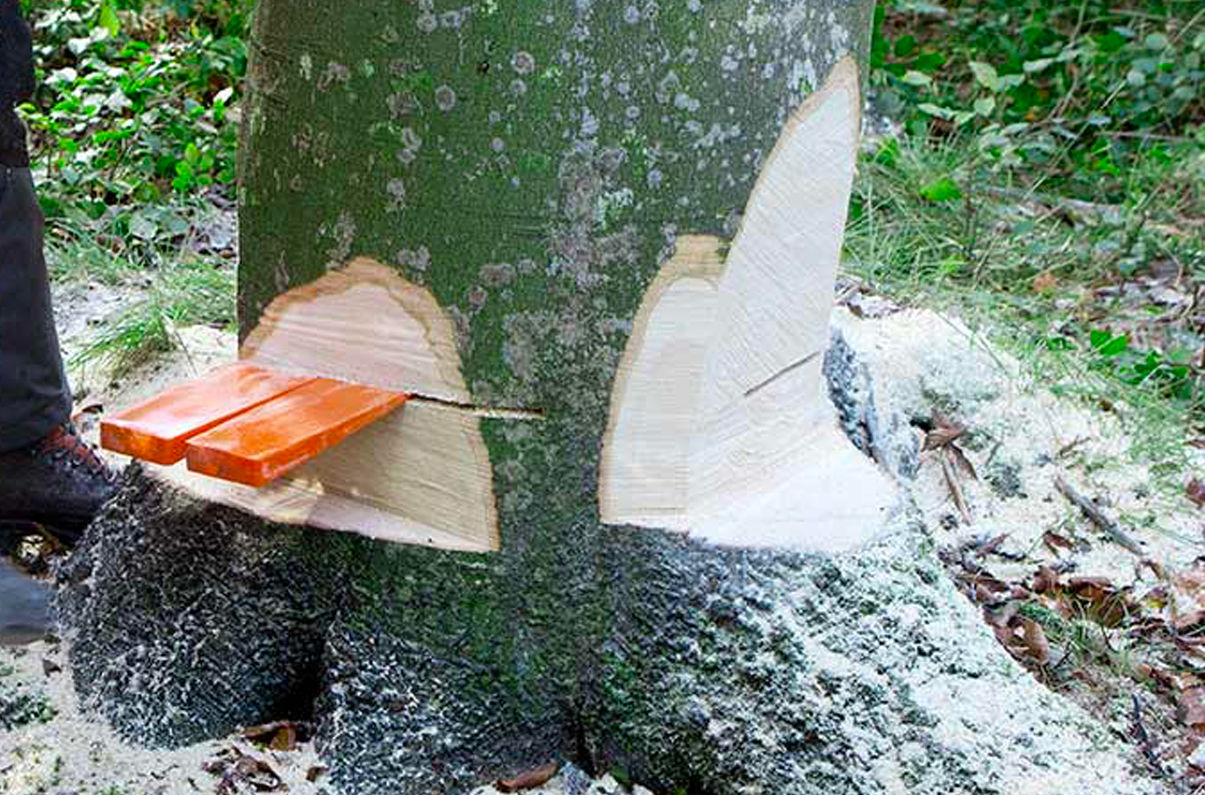 Image de la catégorie Cunei da abbattimento