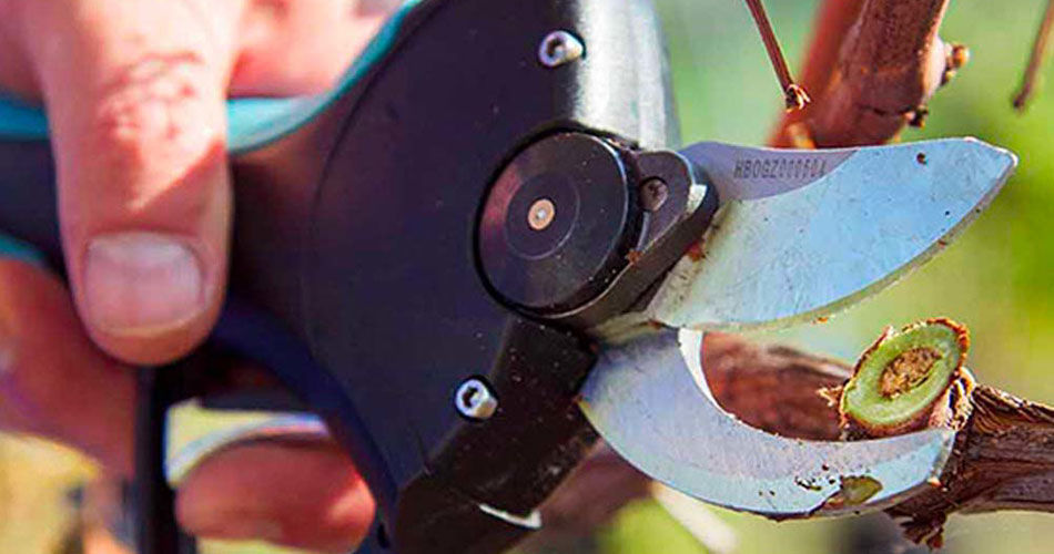 Sécateur électrique STARK XL et STARK XM Campagnola