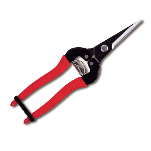 Forbici 300L Ars - professionali per taglio frutta e vegetali