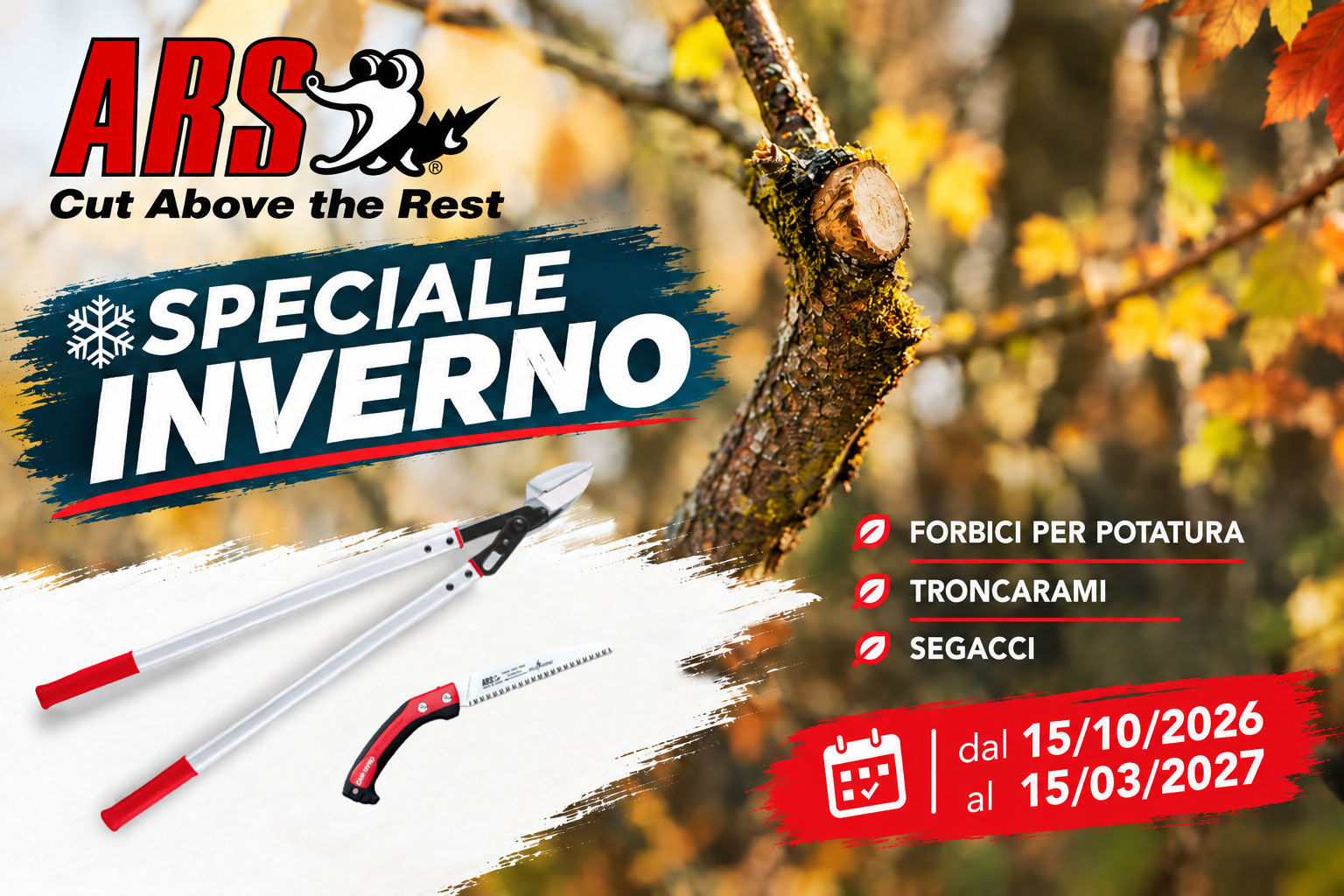 Image de la catégorie Speciale Inverno Ars