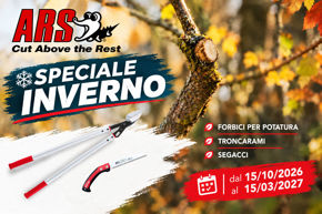 Image de la catégorie Spécial Hiver Ars
